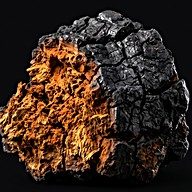 Chaga